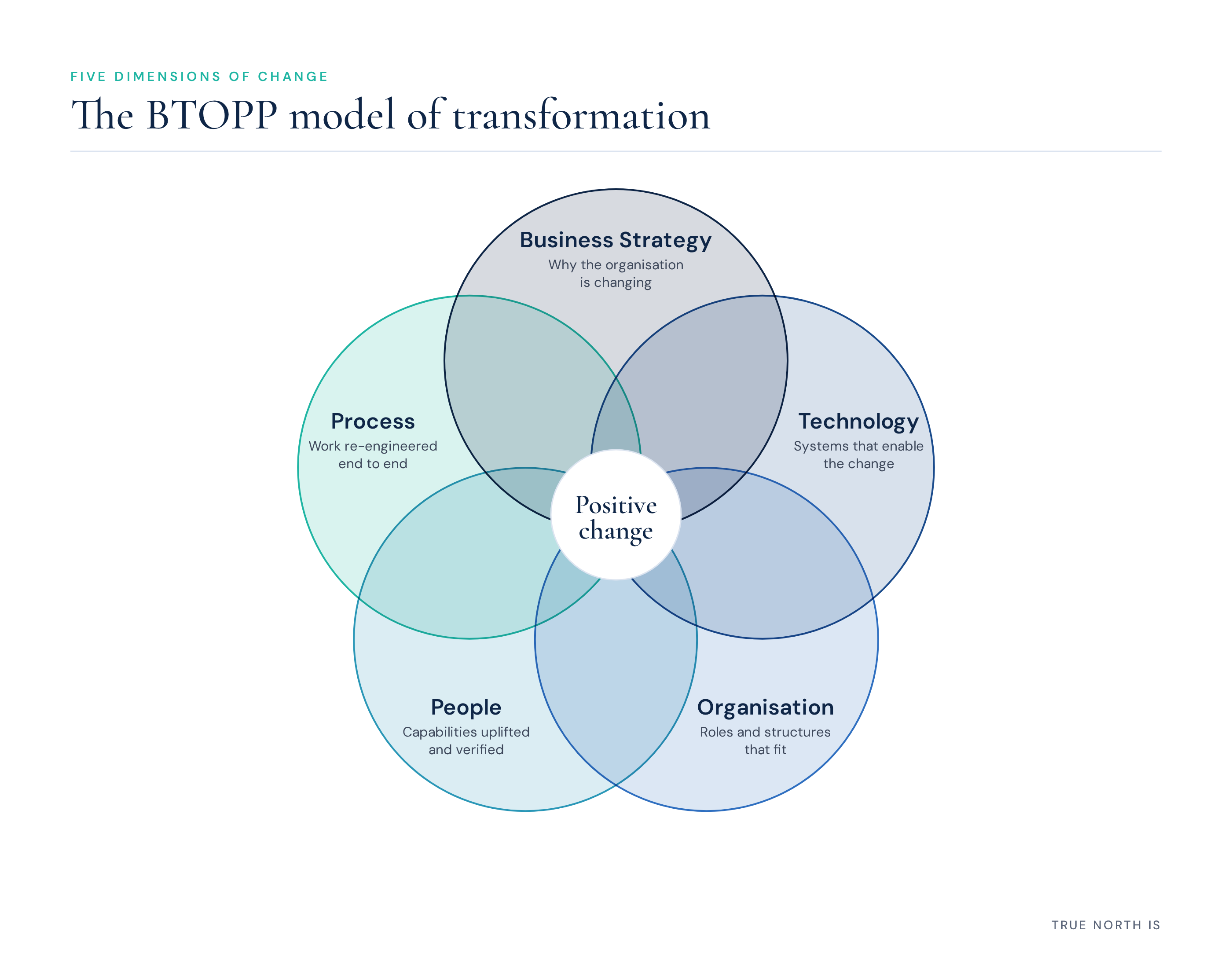 The BTOPP model for transformation: Business Strategy, Technology, Organisation, People and Process all reinforce each other for positive change